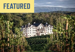 Nicewonder Farm & Vineyards
