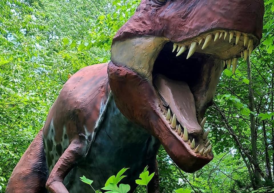 Backyard Terrors Dinosaur Park