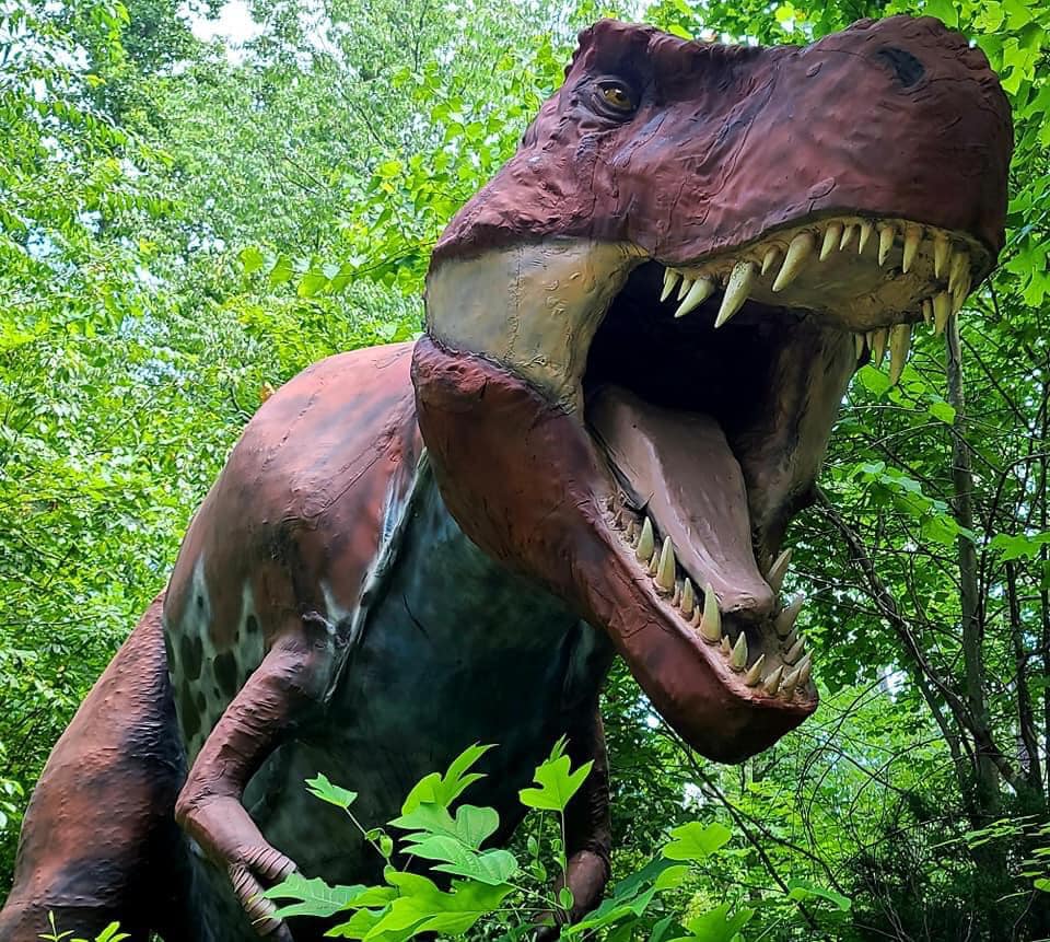 Backyard Terrors Dinosaur Park - Explore Bristol