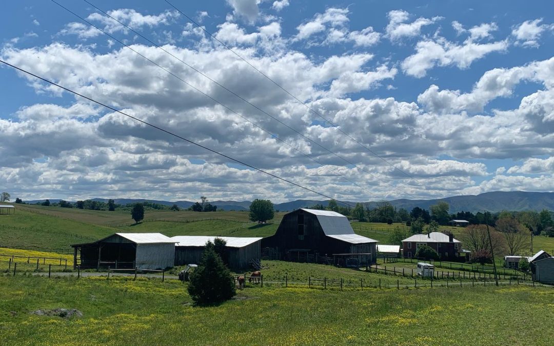 Magna Vista Farm